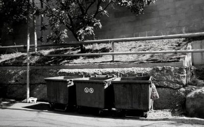 Containern strafbar? Ist das Abfall oder kann das weg?